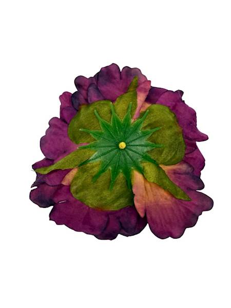 Piwonia główka 13 cm ciemny fiolet