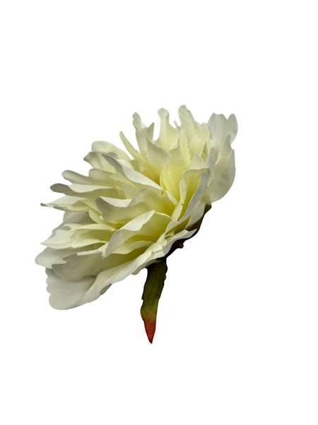 Piwonia główka 13 cm kremowa
