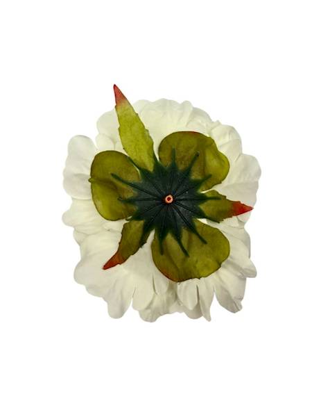 Piwonia główka 13 cm kremowa