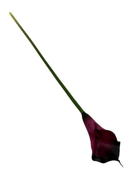 Kalia gumowa 70 cm ciemna fuksja