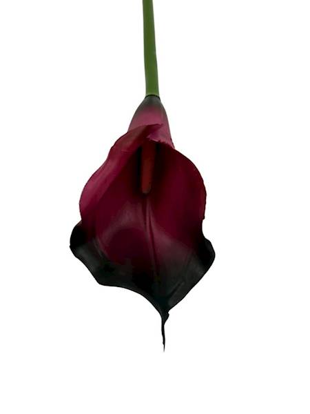 Kalia gumowa 70 cm ciemna fuksja