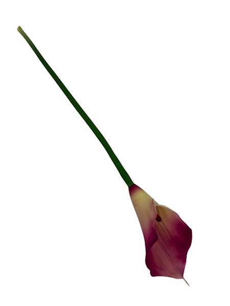 Kalia gumowa 70 cm róż i żółty