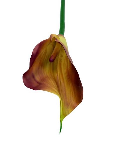 Kalia gumowa 70 cm brudny róż i żółty