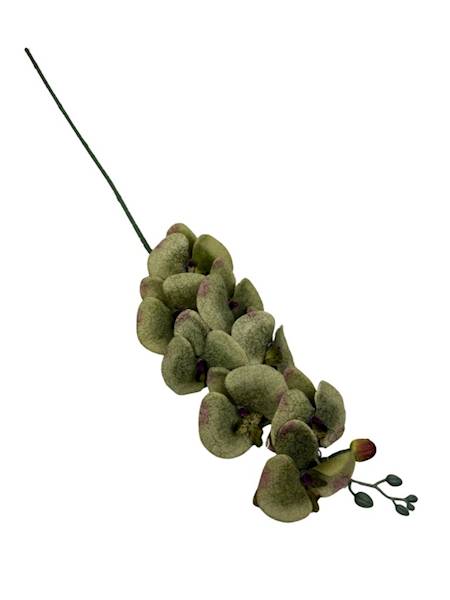 Storczyk gałązka 90 cm zielony