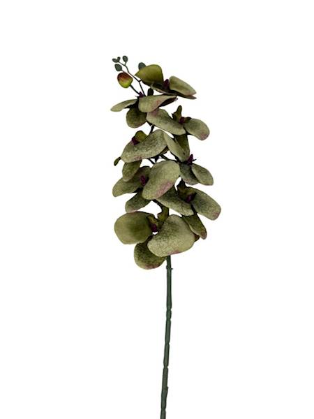 Storczyk gałązka 90 cm zielony