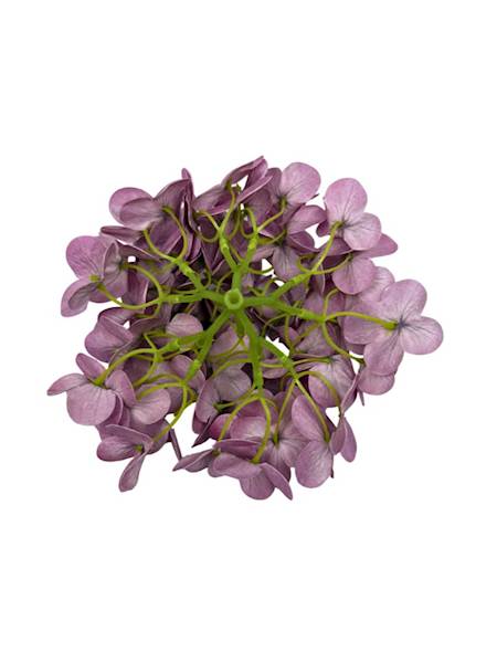 Hortensja główka 18 cm jasny fiolet