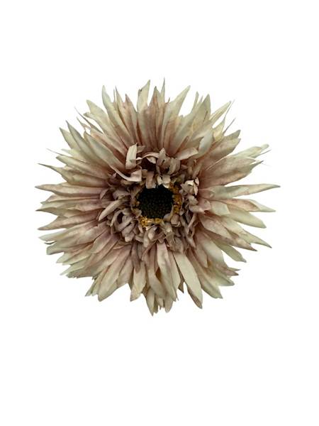 Gerbera gałązka 45 cm brudny fiolet i krem