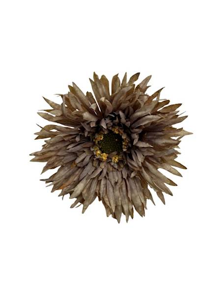 Gerbera gałązka 45 cm brąz