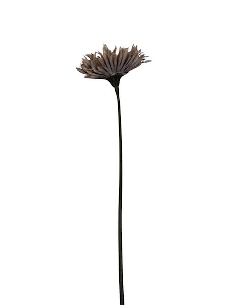 Gerbera gałązka 45 cm brąz