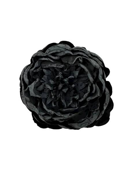 Piwonia główka 9 cm czarna