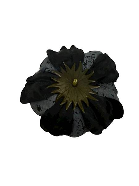 Piwonia główka 9 cm czarna