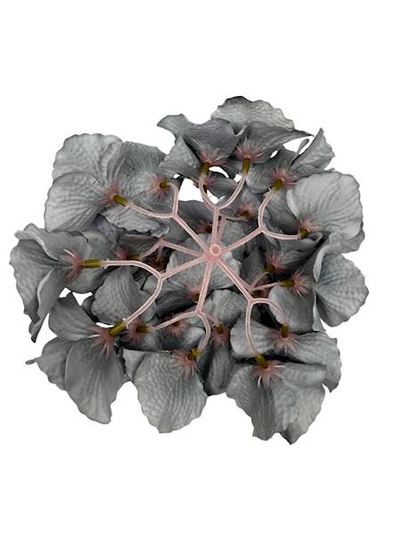 Hortensja główka 18 cm szara