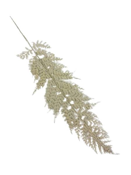 Paproć liść omszony 55 cm kremowy