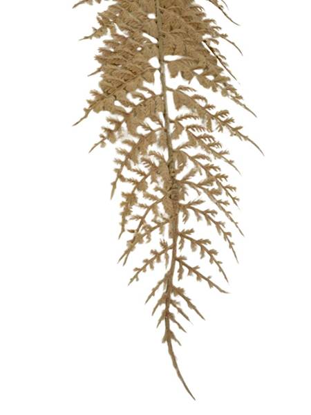 Paproć liść omszony 55 cm beż