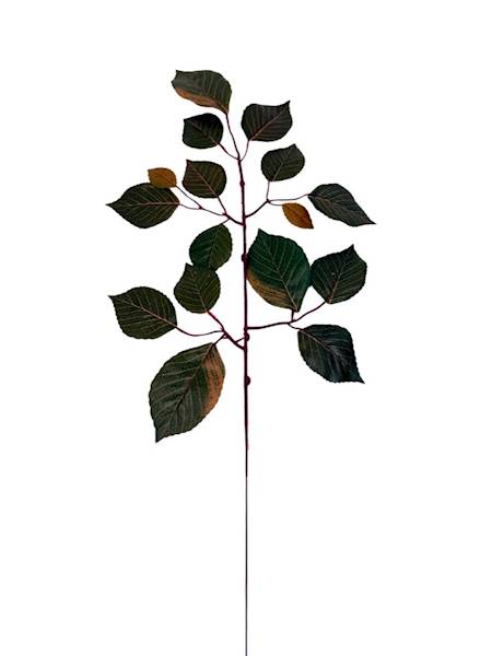 Liść buka gałązka 60 cm ciemno zielony