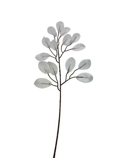 Fikus gałązka 53 cm biały