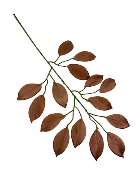 Fikus gałązka 53 cm brąz