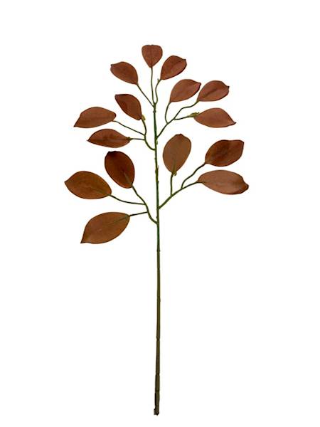 Fikus gałązka 53 cm brąz