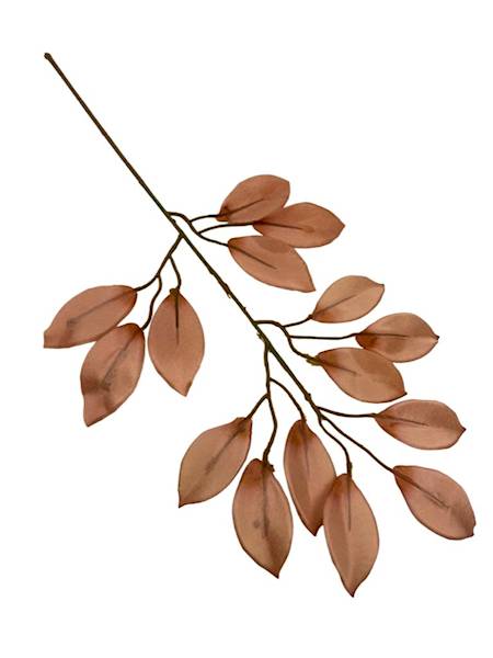 Fikus gałązka 53 cm jasny brąz