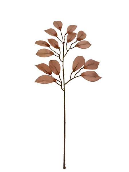 Fikus gałązka 53 cm jasny brąz