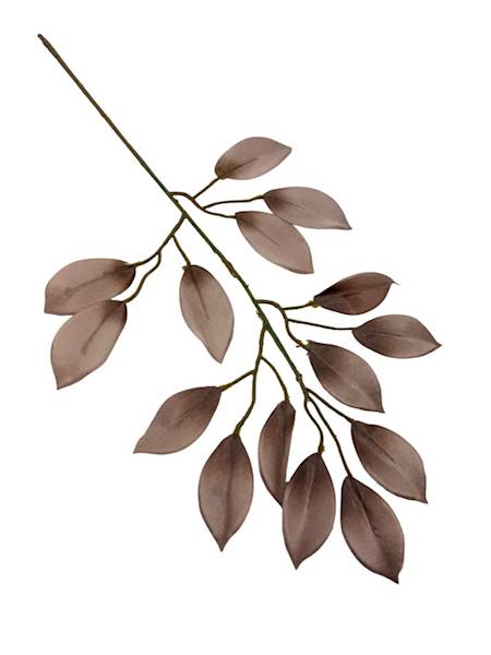 Fikus gałązka 53 cm brąz / ciemny beż