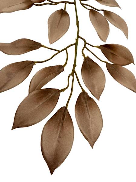 Fikus gałązka 53 cm brąz / ciemny beż