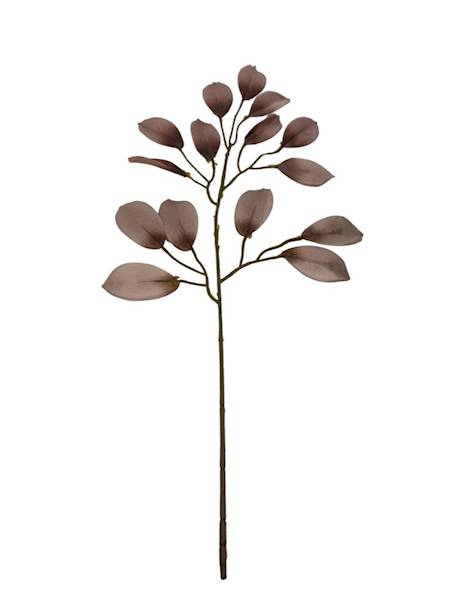 Fikus gałązka 53 cm brąz / ciemny beż