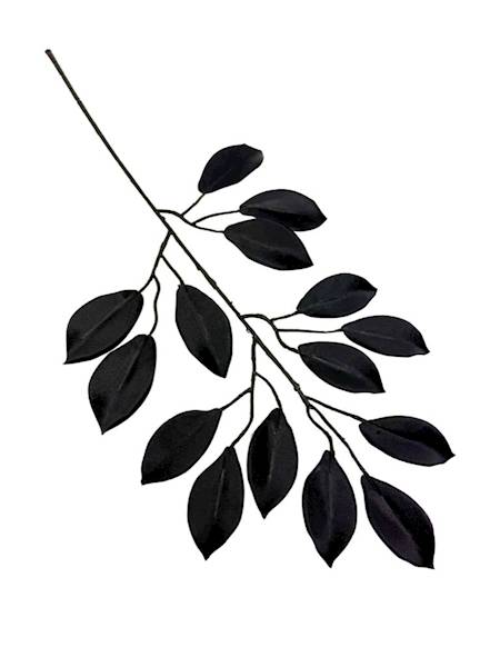 Fikus gałązka 53 cm czarny