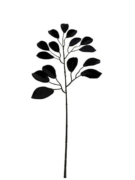 Fikus gałązka 53 cm czarny