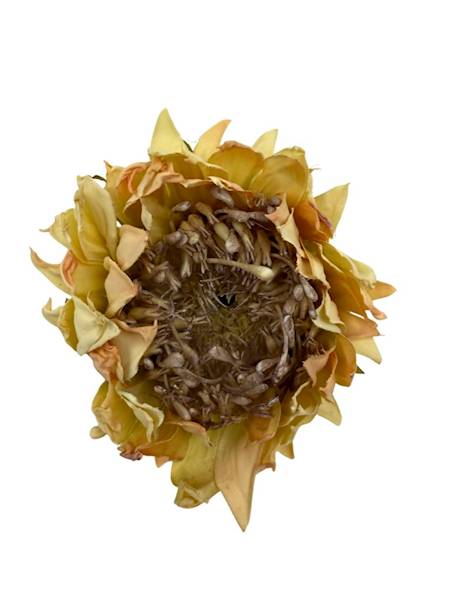 Słonecznik główka 10 cm delikatny żółty