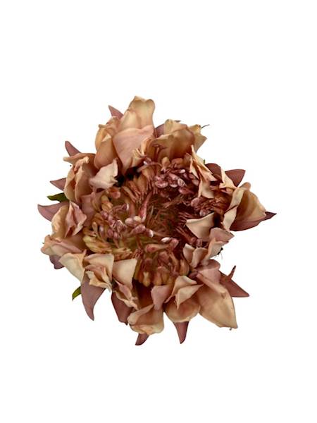 Słonecznik główka 10 cm brudny i jasny róż