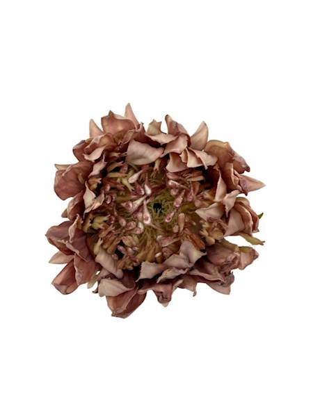 Słonecznik główka 10 cm brudny fiolet