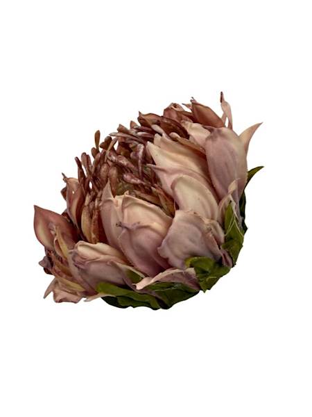 Słonecznik główka 10 cm brudny fiolet