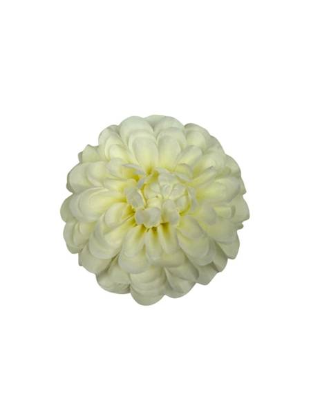 Dalia główka 11 cm jasno kremowa