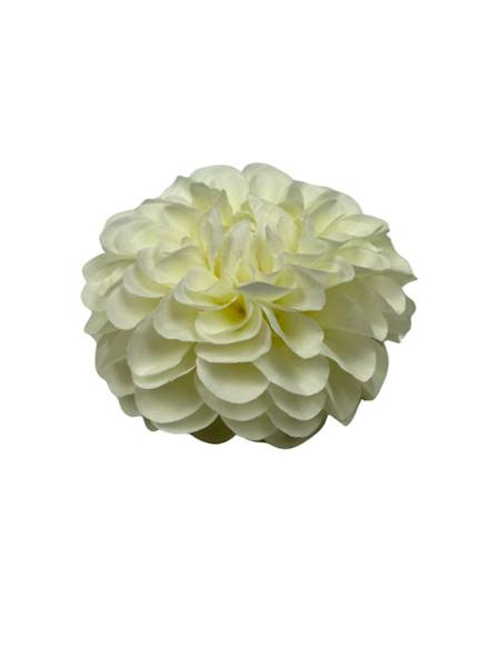 Dalia główka 11 cm jasno kremowa