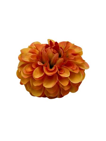 Dalia główka 11 cm pomarańczowa