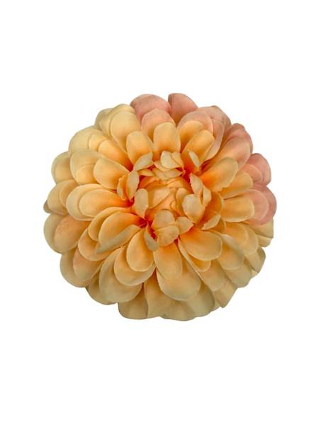Dalia główka 11 cm brzoskwiniowa