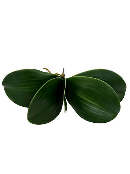 Liście storczyka 28 cm 