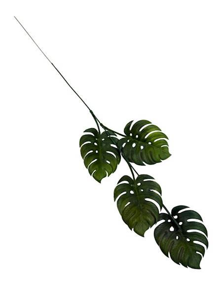 Monstera gałązka 55 cm ciemno zielona