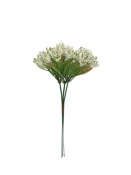 Gipsówka wiązka 26 cm