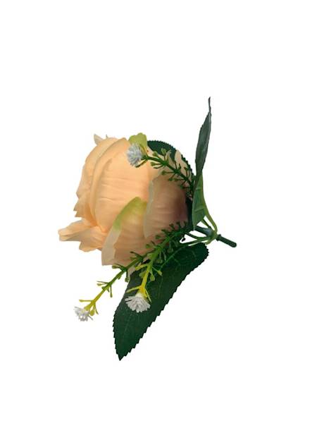 Róża główka z dodatkiem 11 cm brzoskwiniowa