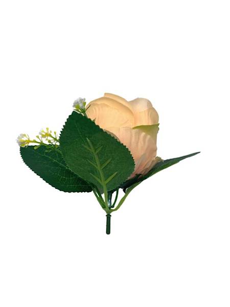 Róża główka z dodatkiem 11 cm brzoskwiniowa