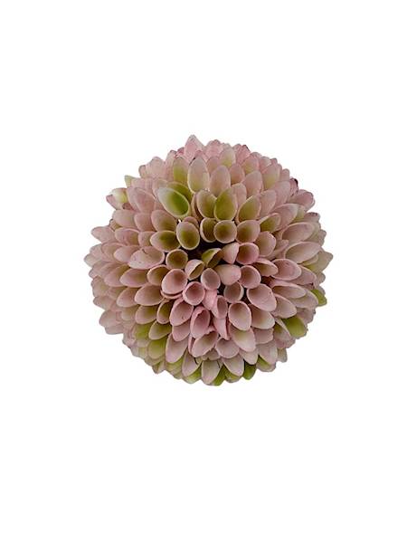 Czosnek główka plastikowa 9 cm różowy