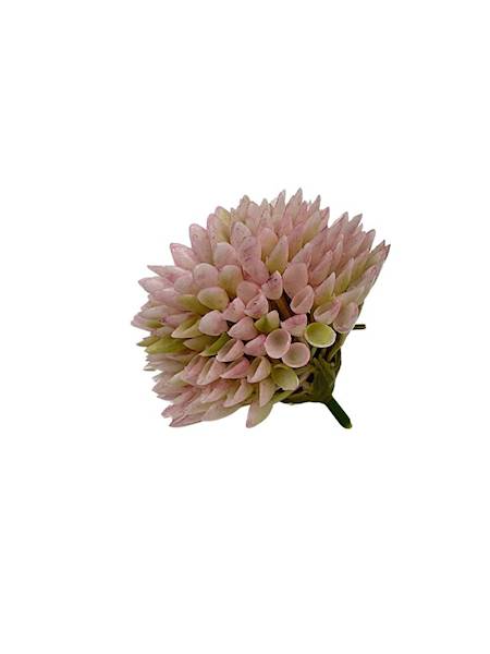 Czosnek główka plastikowa 9 cm różowy