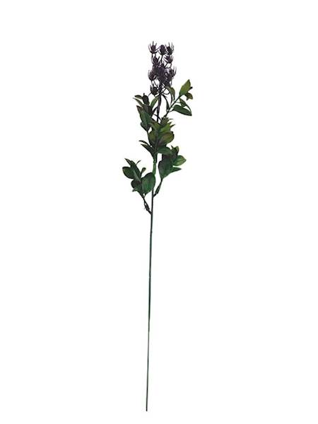 Hypericum dodatek gałązka 43 cm ciemny fiolet
