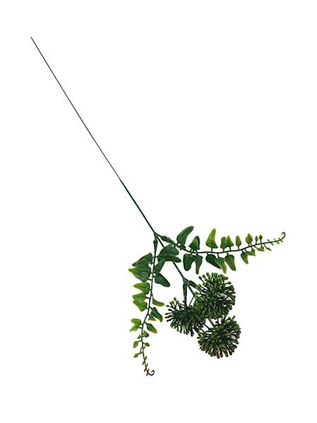 Czosnek gałązka 45 cm zielony z bordo