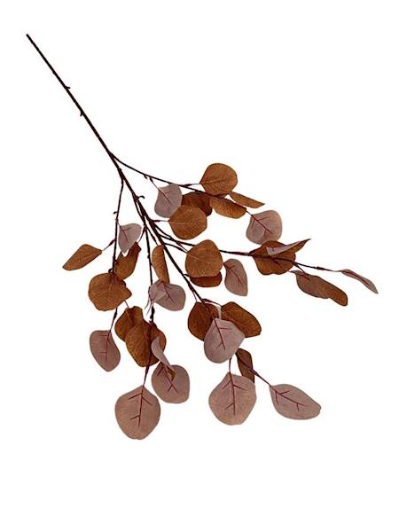 Eukaliptus gałązka 56 cm brązowy