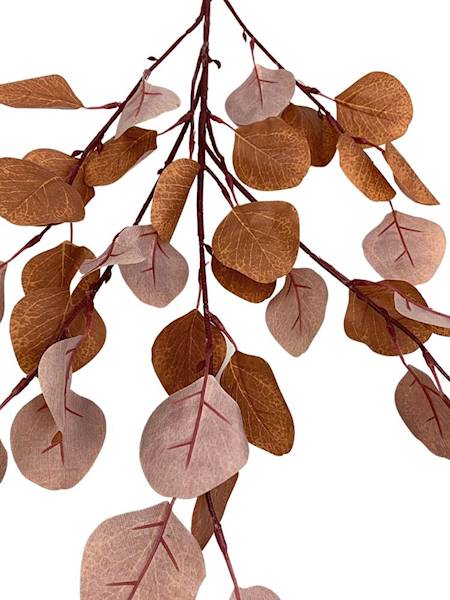 Eukaliptus gałązka 56 cm brązowy