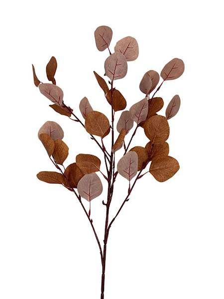 Eukaliptus gałązka 56 cm brązowy