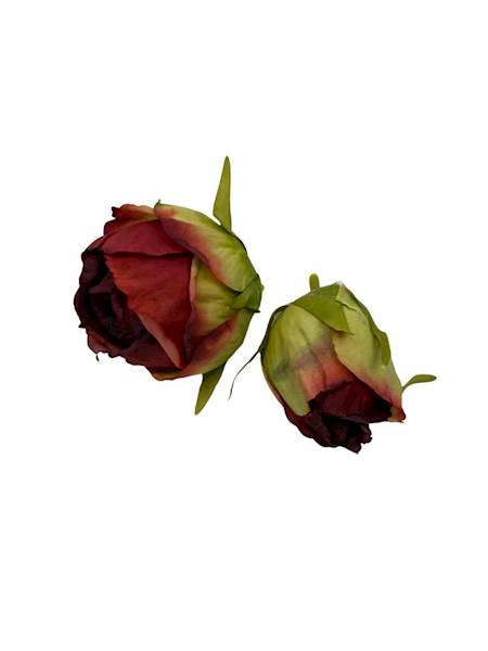 Róża główka + pąk bordo